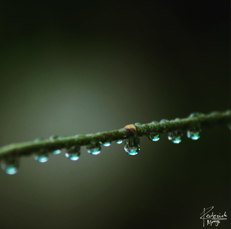 theadventureaperture #6